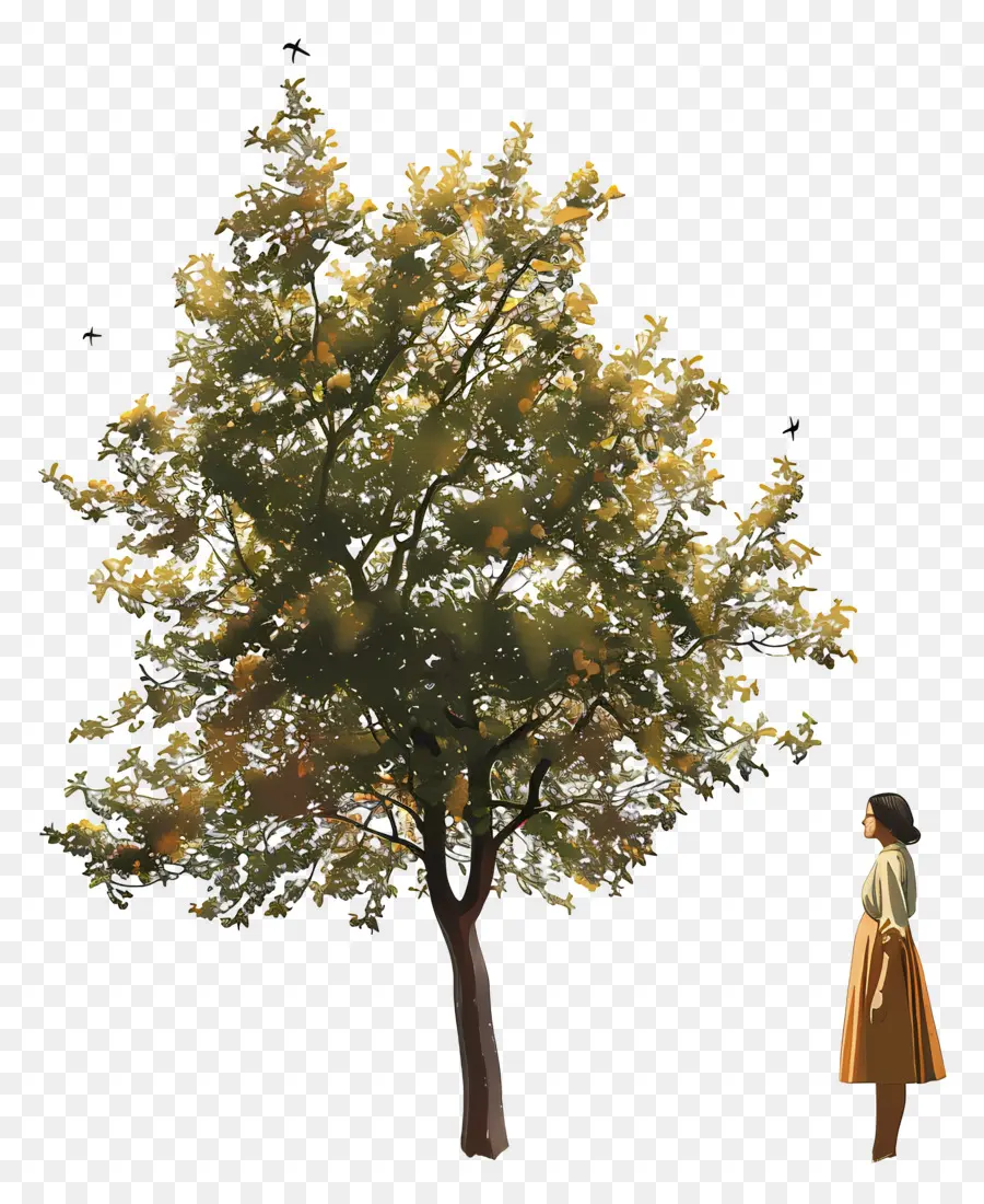 Mujer En Primavera，Árbol PNG