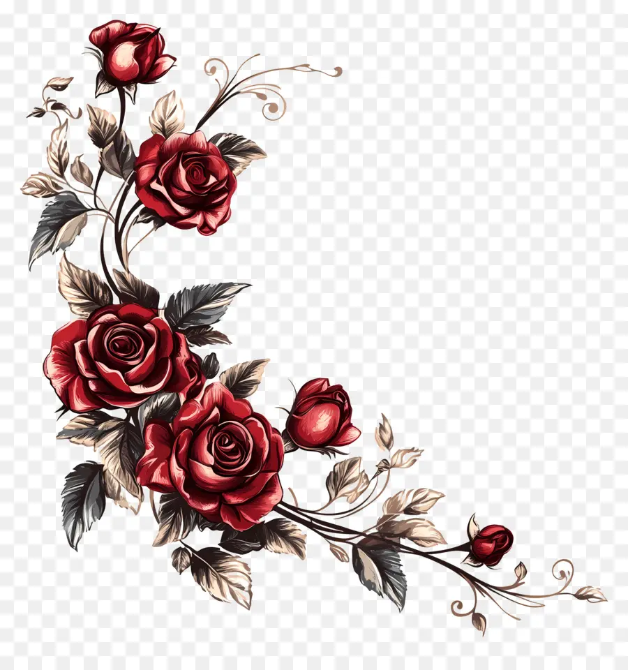 Rosa，Rosas Rojas PNG