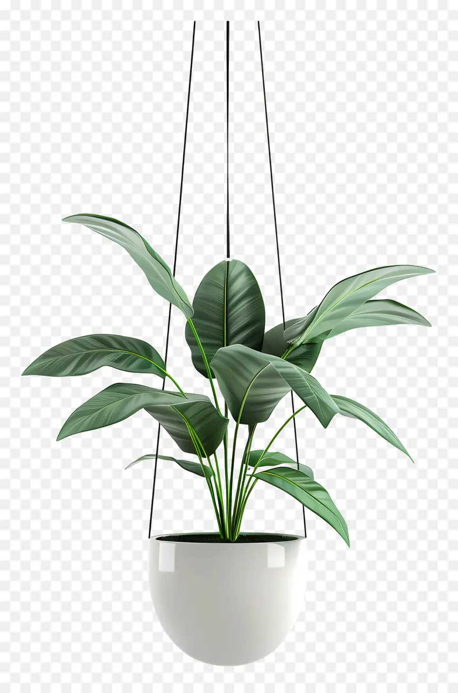 Planta En Maceta Suspendida，Planta Colgante PNG