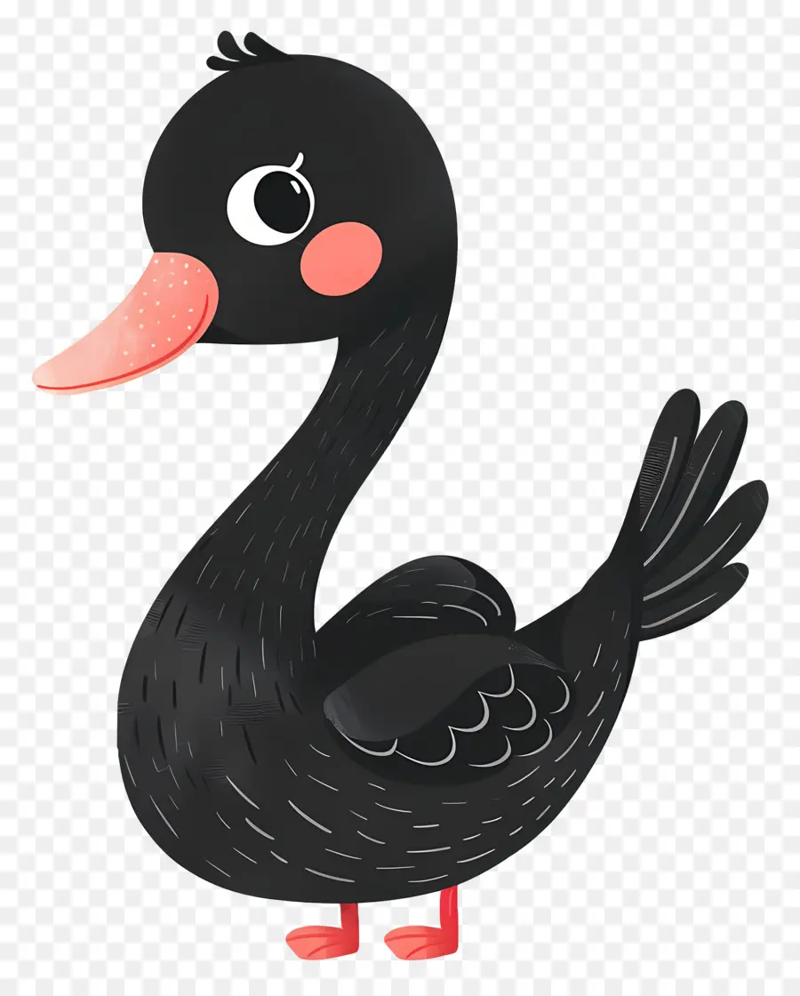 Cisne Negro，Lindo PNG