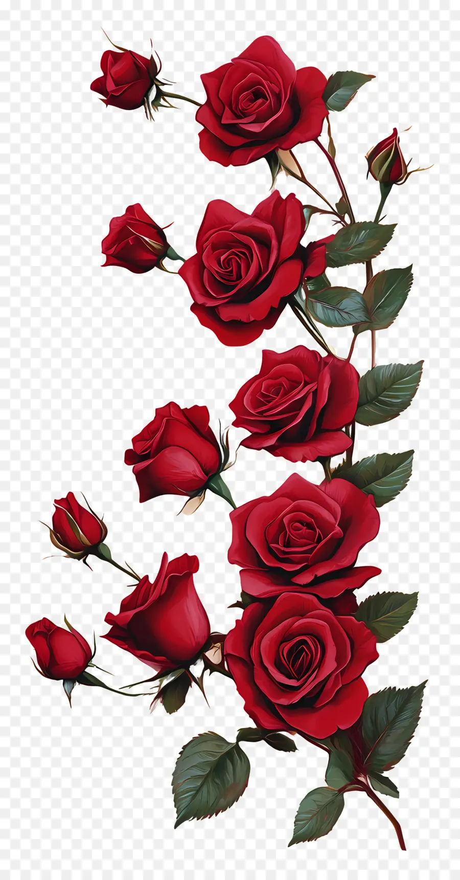 Rosa，Rosas Rojas PNG