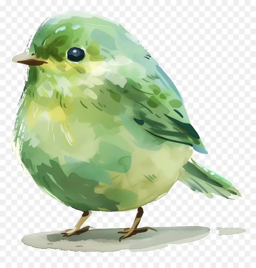 Pájaro Verde，Lindo PNG