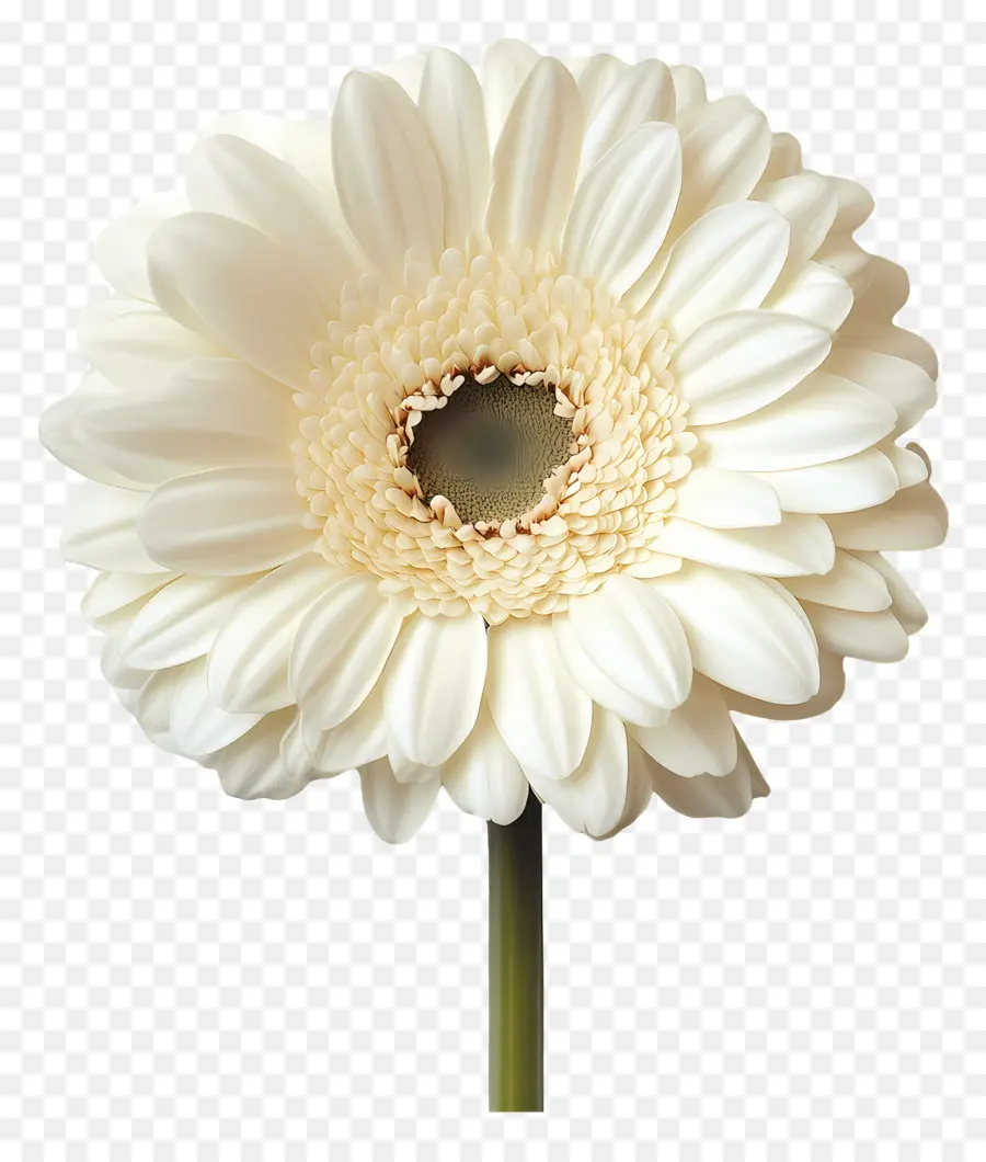 Buen Día，Flor Amarilla PNG