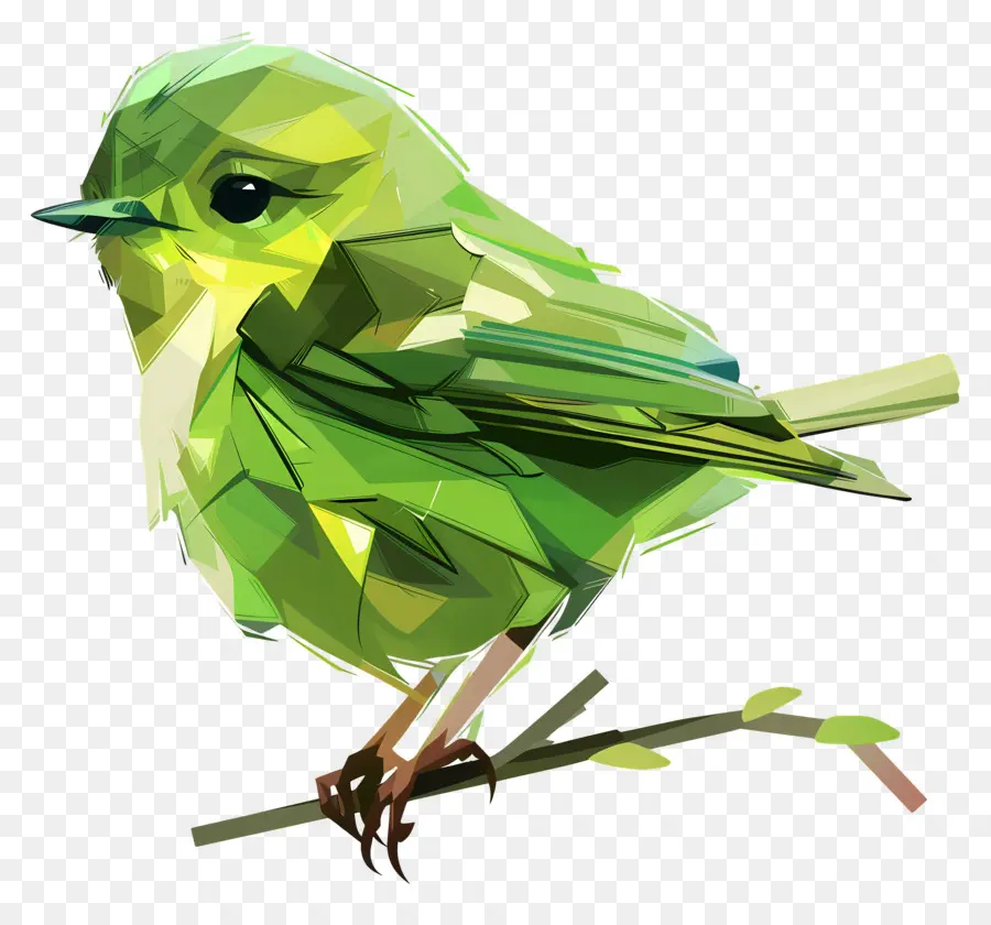 Pájaro Verde，Plumas PNG