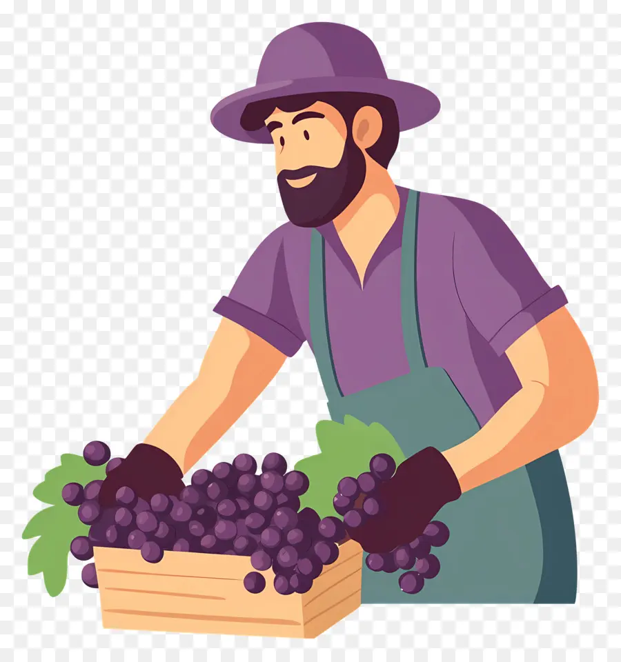 Cosecha De Uvas，Granjero Con Uvas PNG