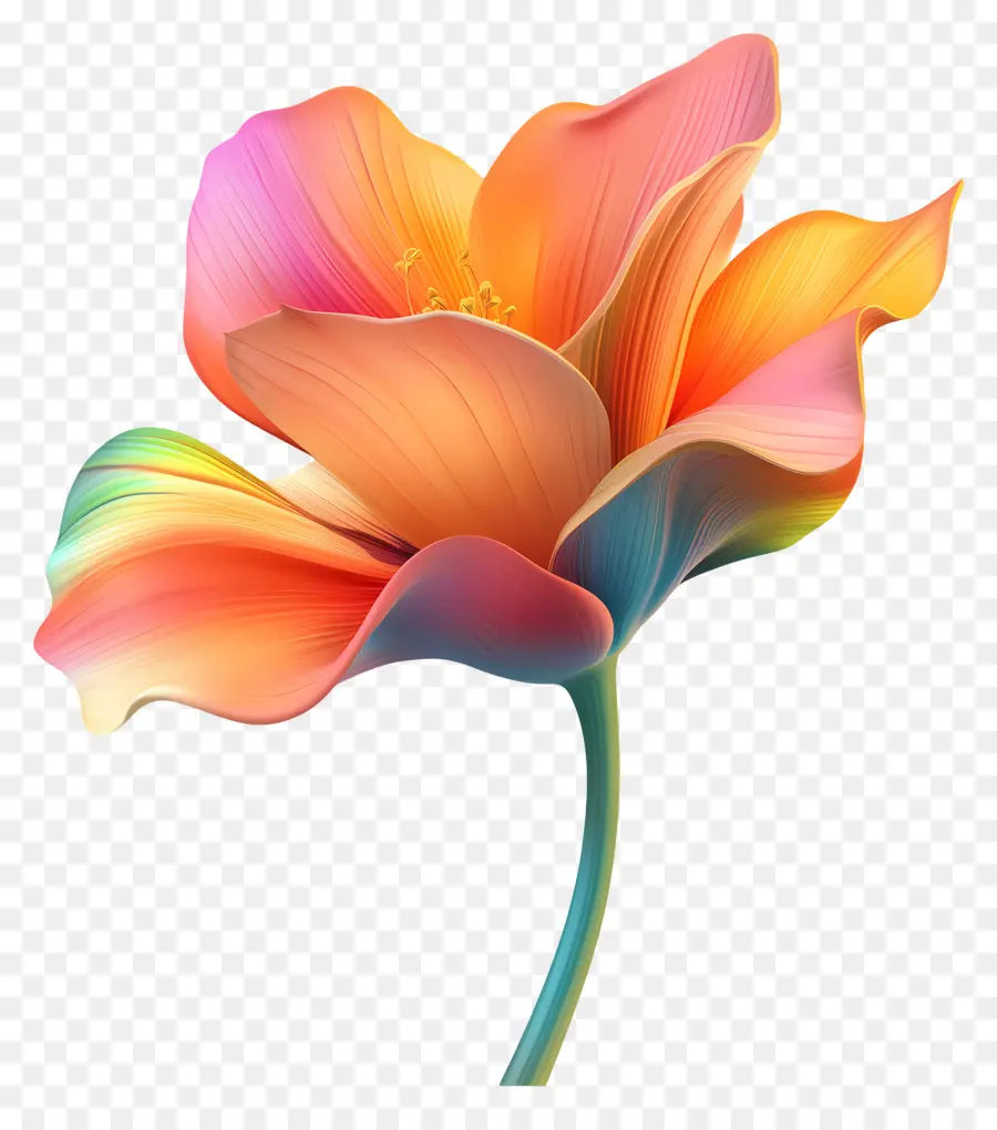 Buen Día，Flor Del Arco Iris PNG