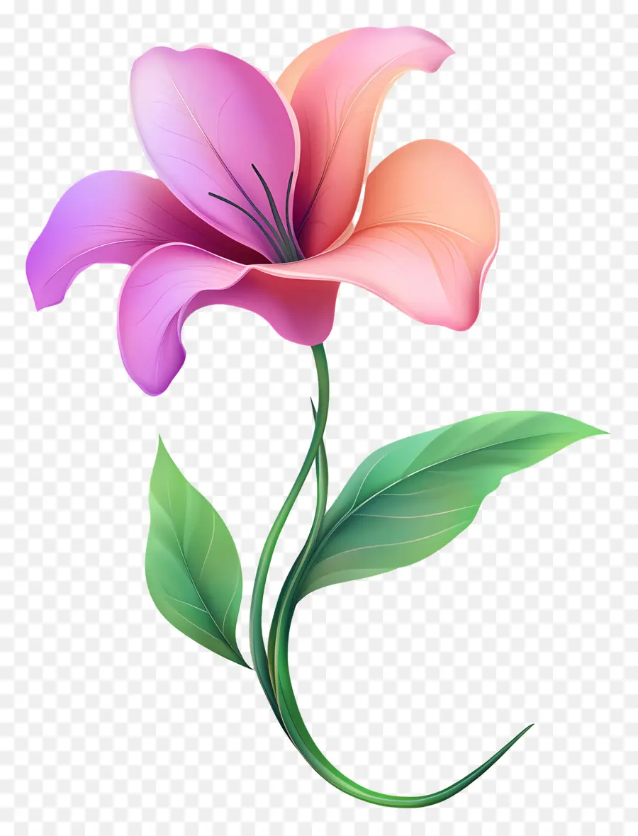 Buen Día，Flor Rosa PNG