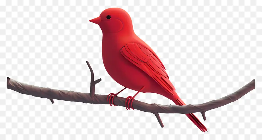 Pájaro Rojo，Pájaro PNG