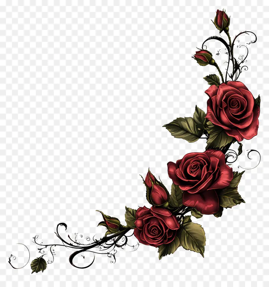 Rosa，Rosas Rojas PNG