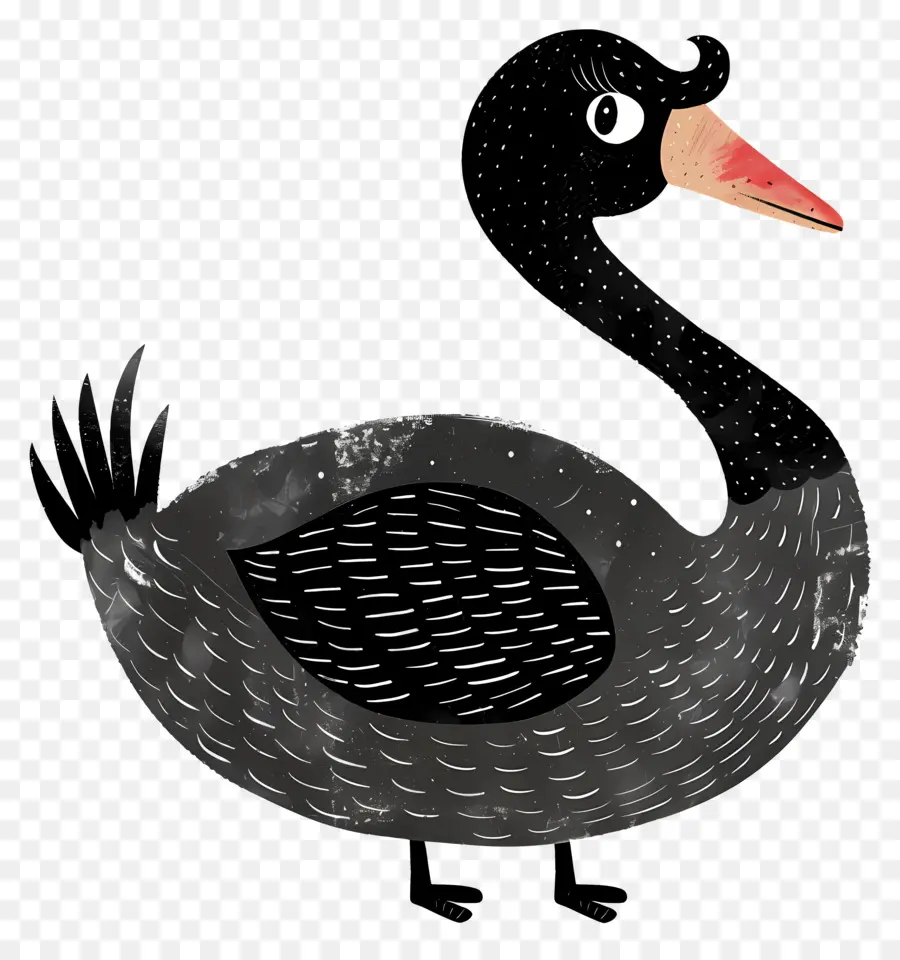 Cisne Negro，Pájaro PNG