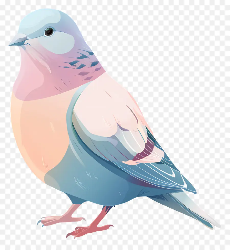 Pájaro Pastel，Pájaro Colorido PNG