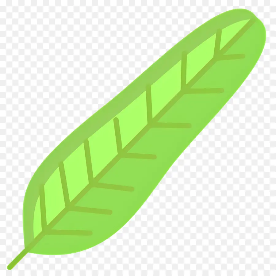 Hoja De Plátano，Hoja Verde PNG