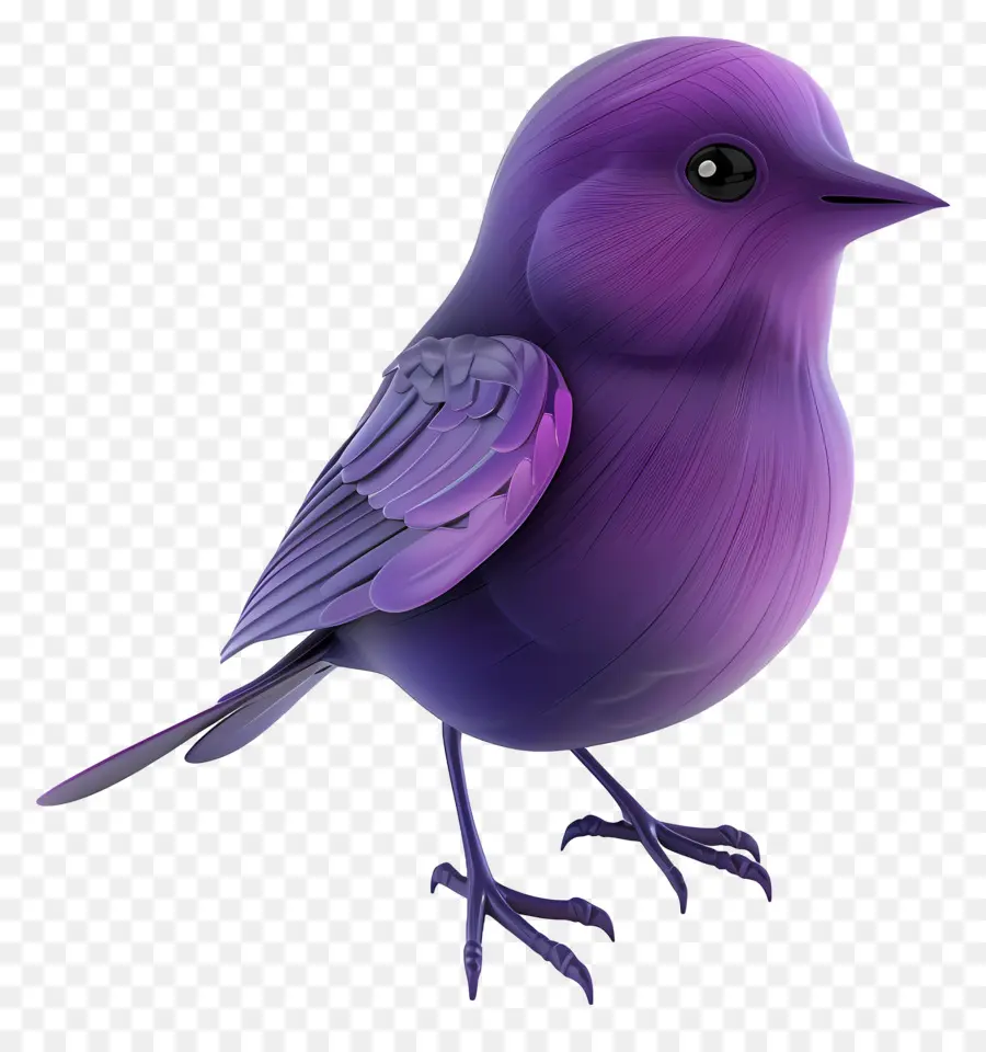 Pájaro Morado，Plumas PNG