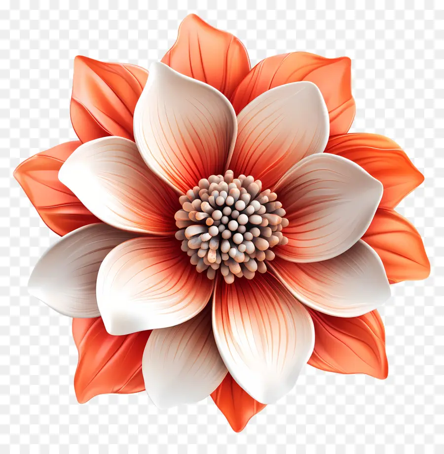 Buen Día，Flor PNG