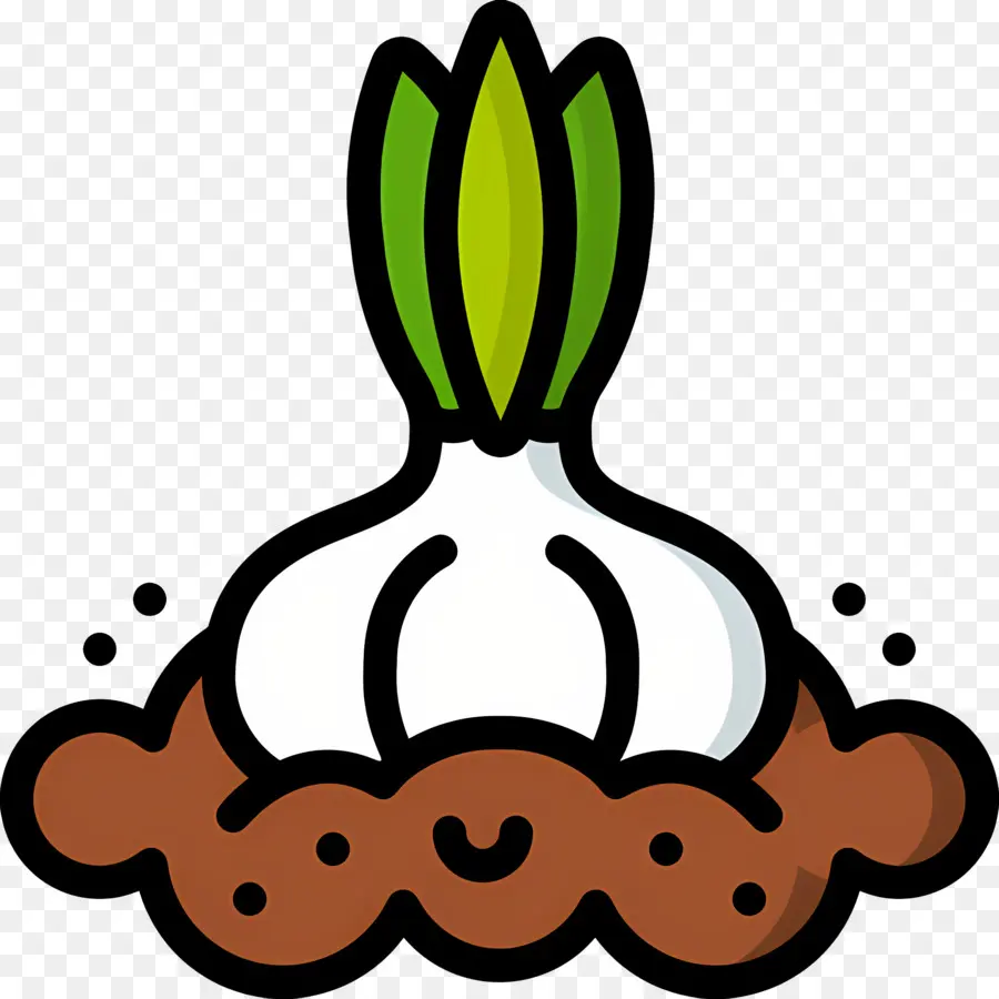 Ajo，Planta PNG