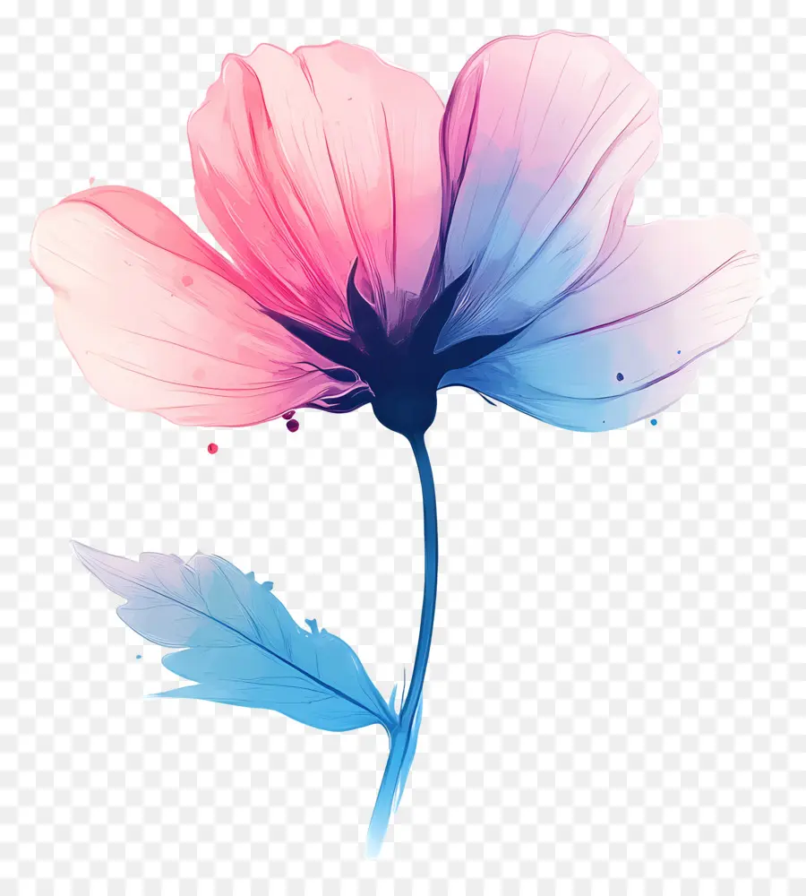 Buen Día，Flor Colorida PNG