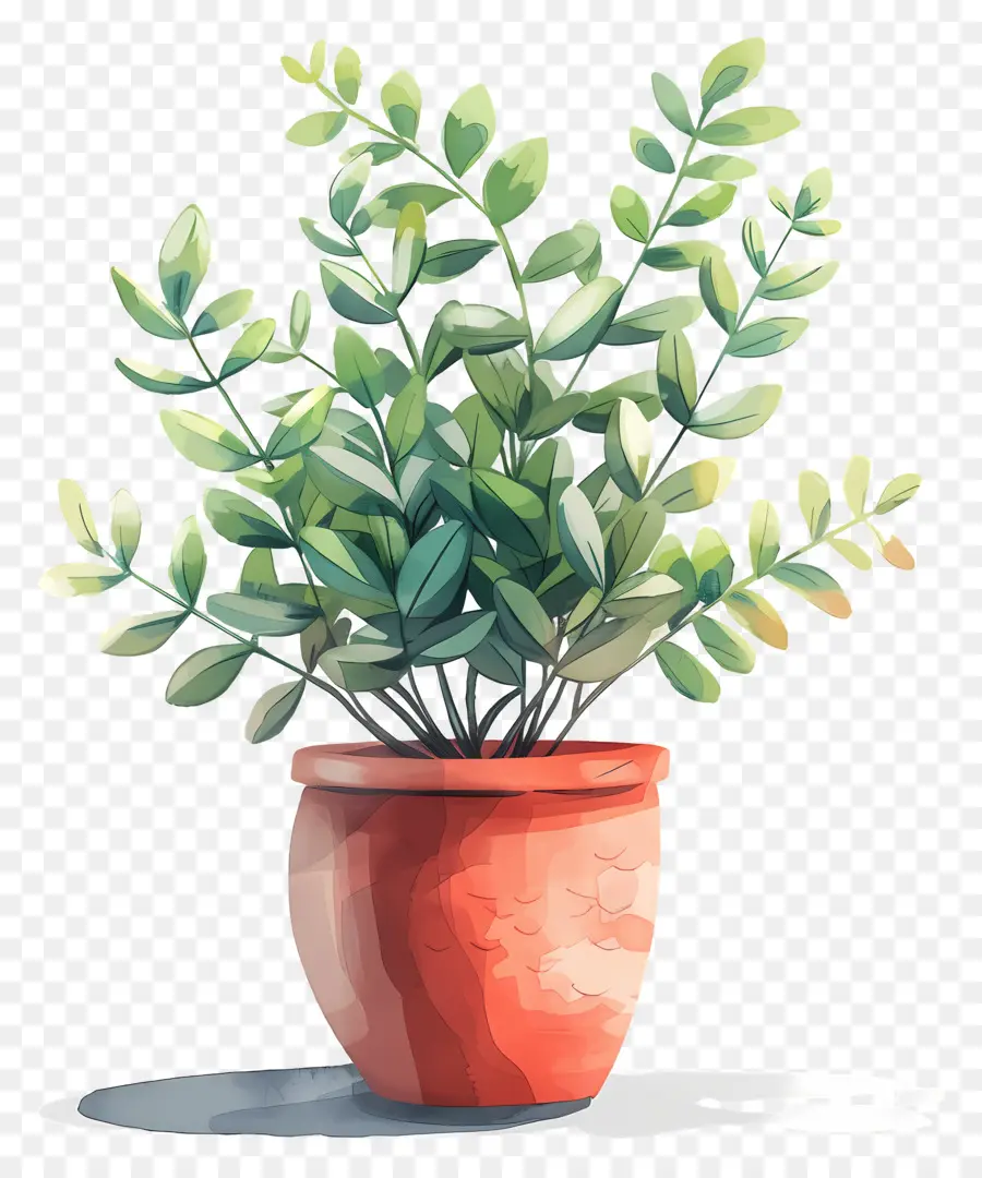 Maceta，Planta En Maceta PNG