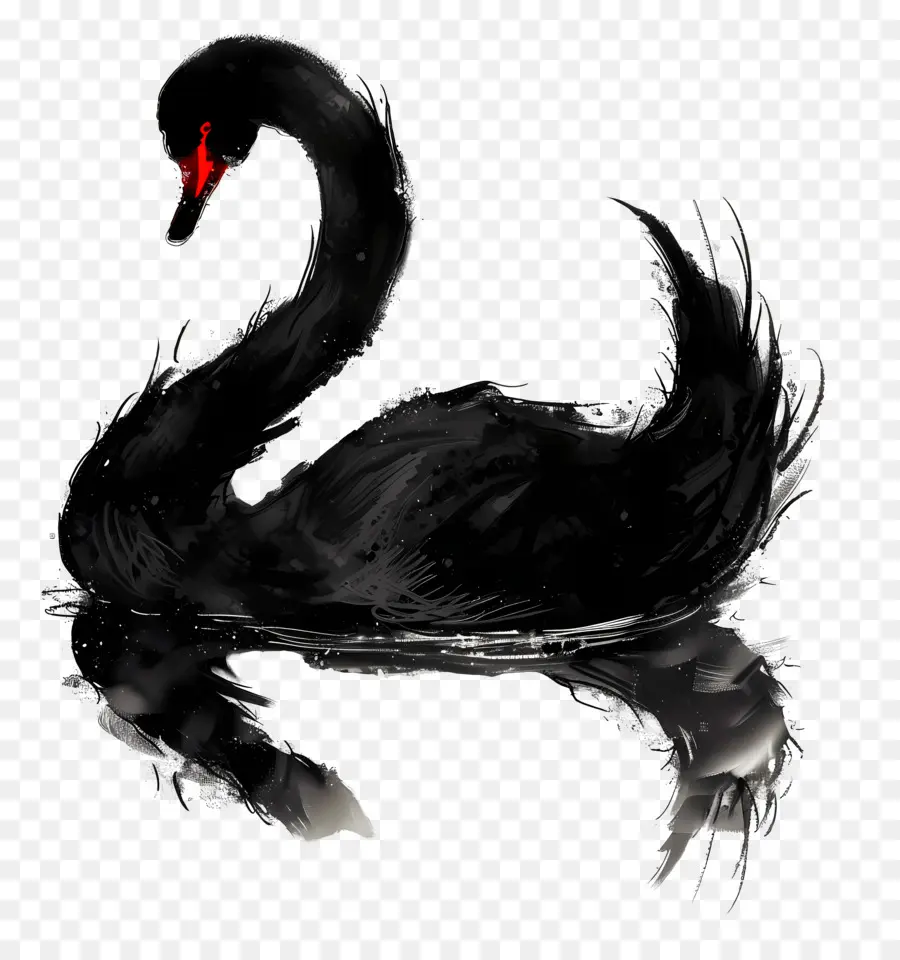 Cisne Negro，Agua PNG