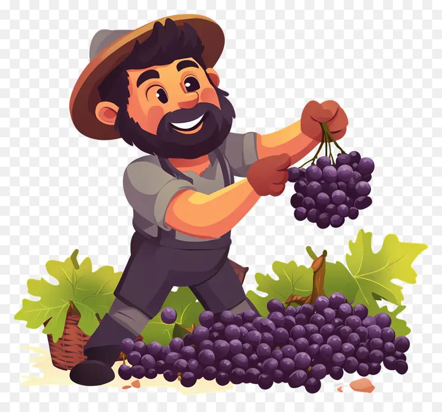 Cosecha De Uvas，Granjero Con Uvas PNG