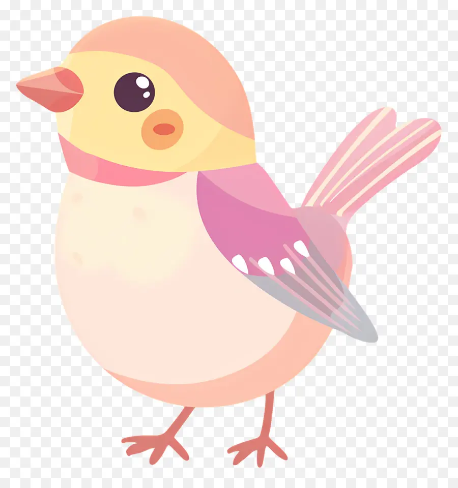 Pájaro Pastel，Lindo PNG