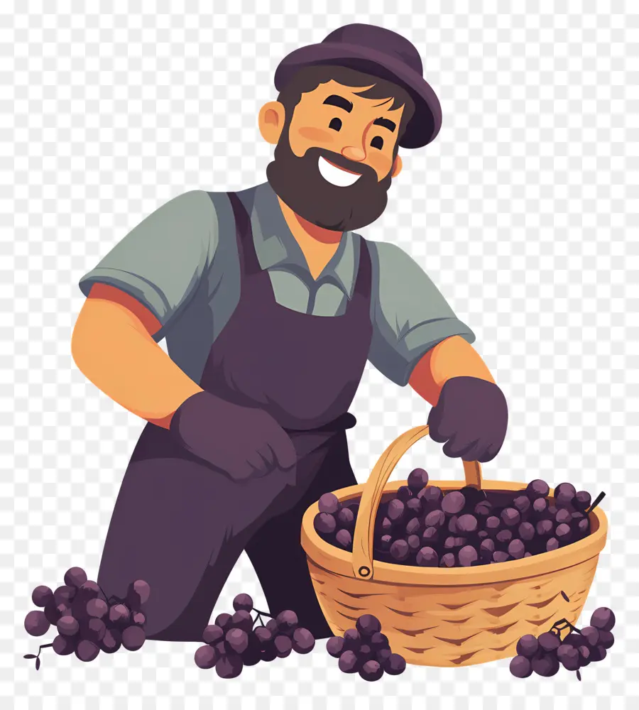 Cosecha De Uvas，Granjero Con Uvas PNG