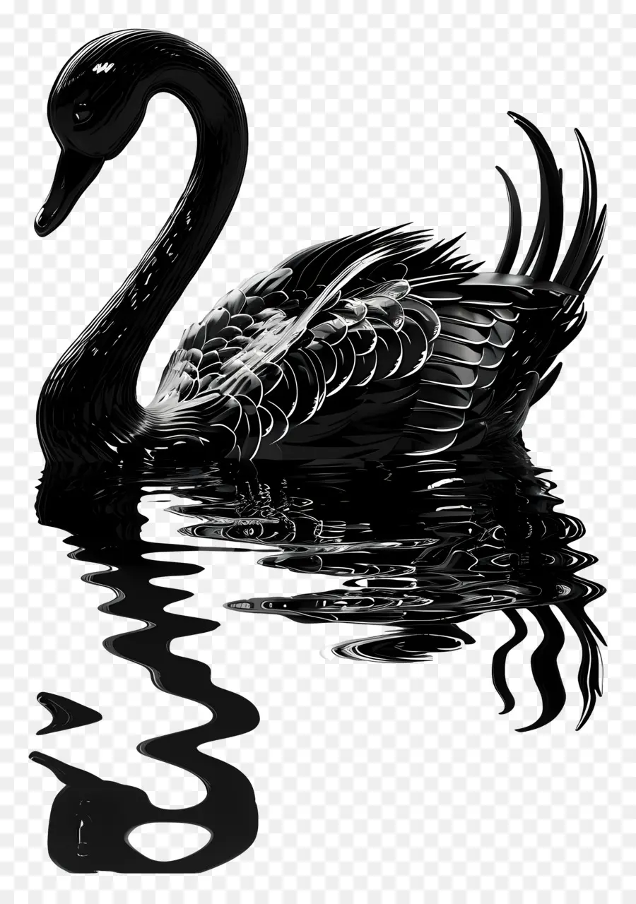 Cisne Negro，Agua PNG