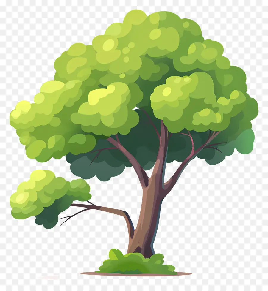 árbol Del Bosque，Árbol PNG