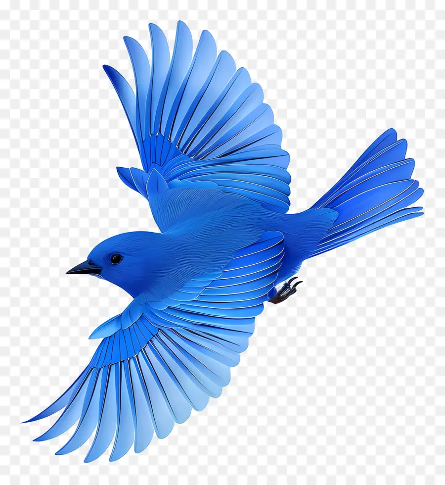 Pájaro Azul，Vuelo PNG