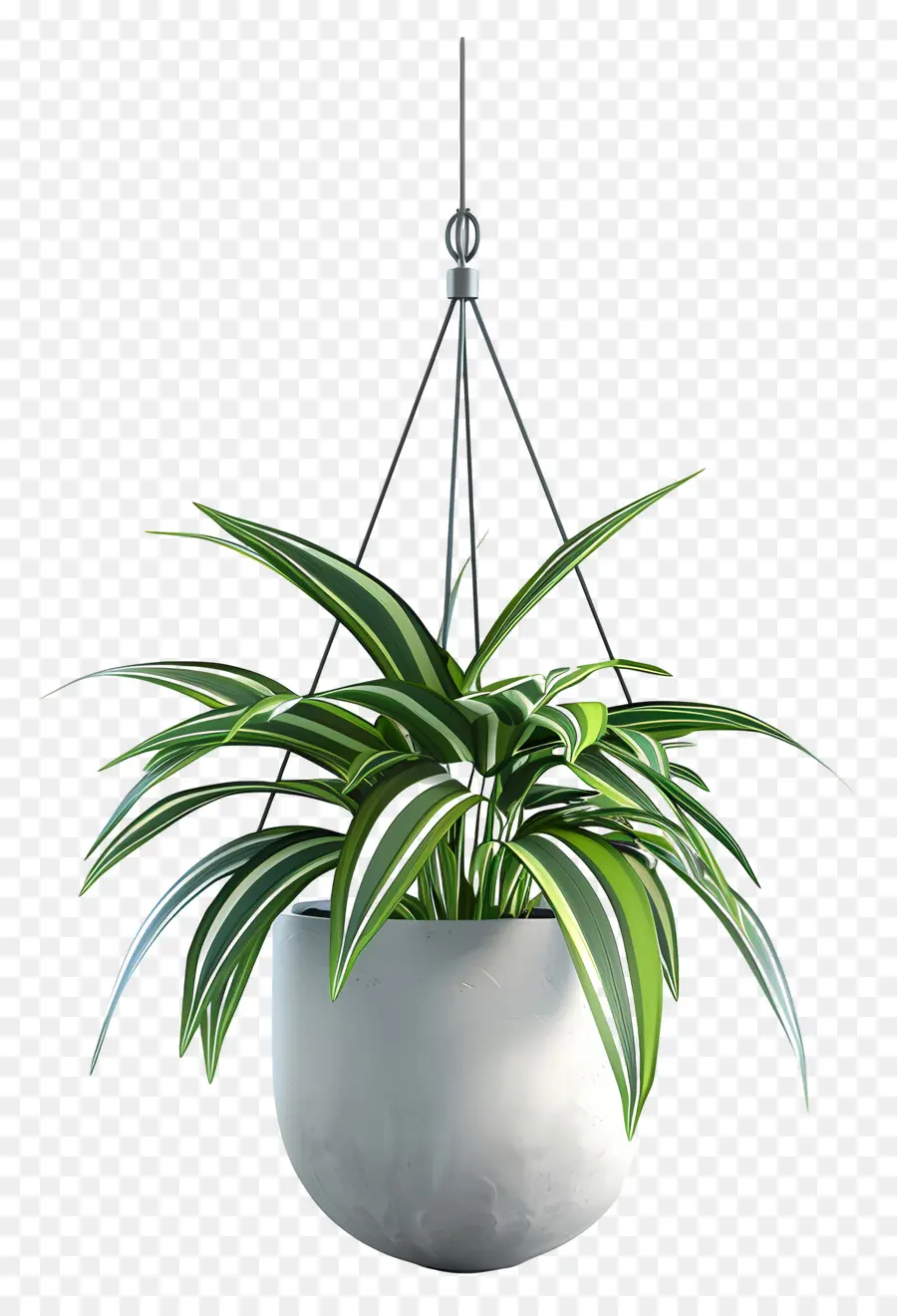 Planta En Maceta Suspendida，Planta Colgante PNG