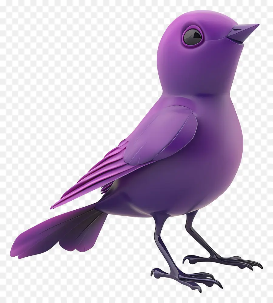 Pájaro Morado，Plumas PNG