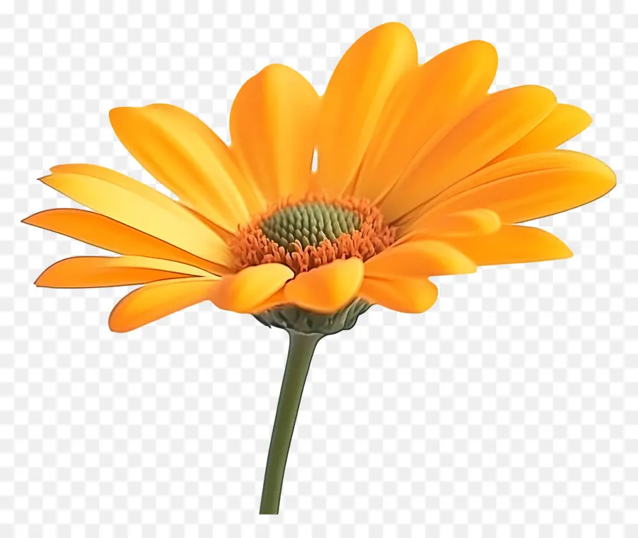 Buen Día，Flor Amarilla PNG