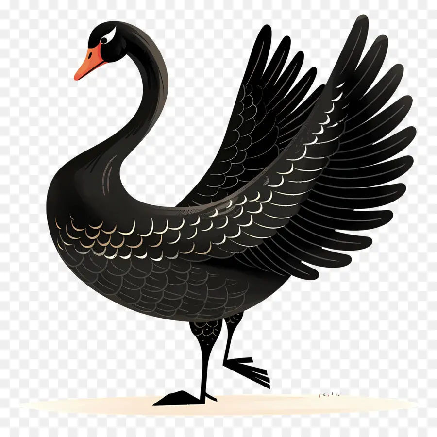 Cisne Negro，Cisne PNG