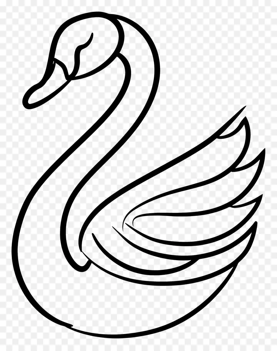 Esquema Del Cisne，Cisne PNG