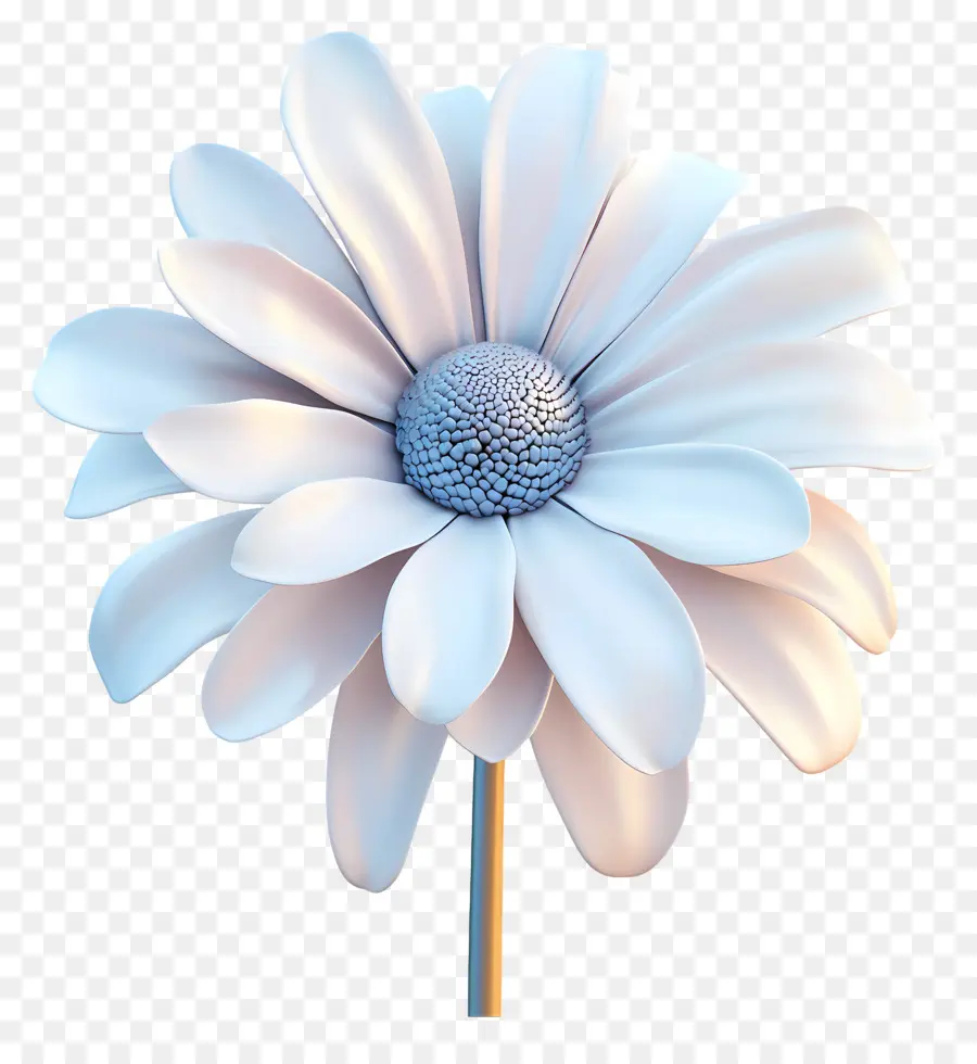 Buen Día，Flor Blanca PNG