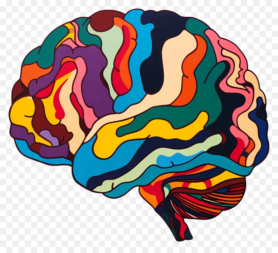 Esquema Del Cerebro，Cerebro PNG