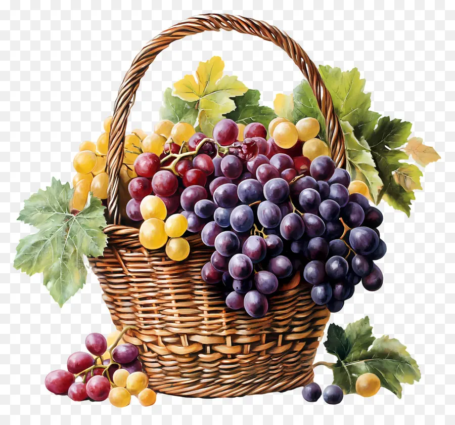 Uva，Cesta De Uvas PNG