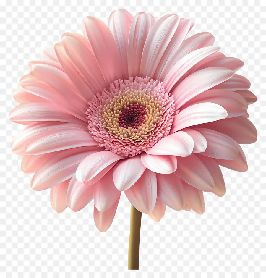 Buen Día，Flor Rosa PNG