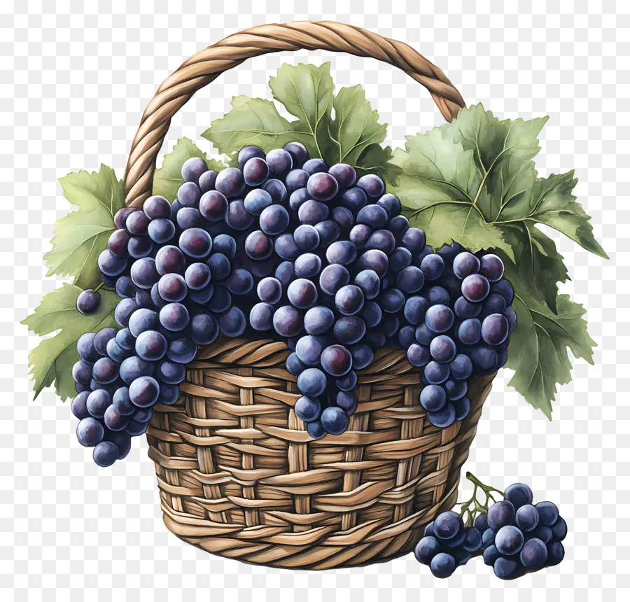 Uva，Cesta De Uvas PNG