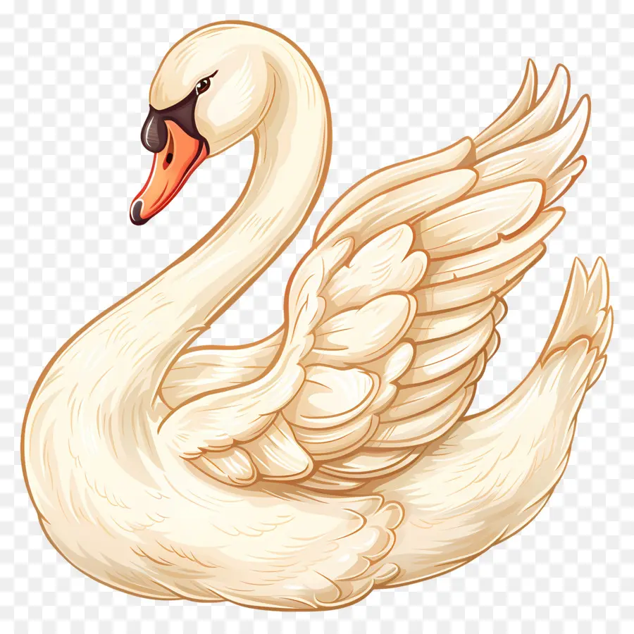 Lindo Cisne，Cisne Blanco PNG