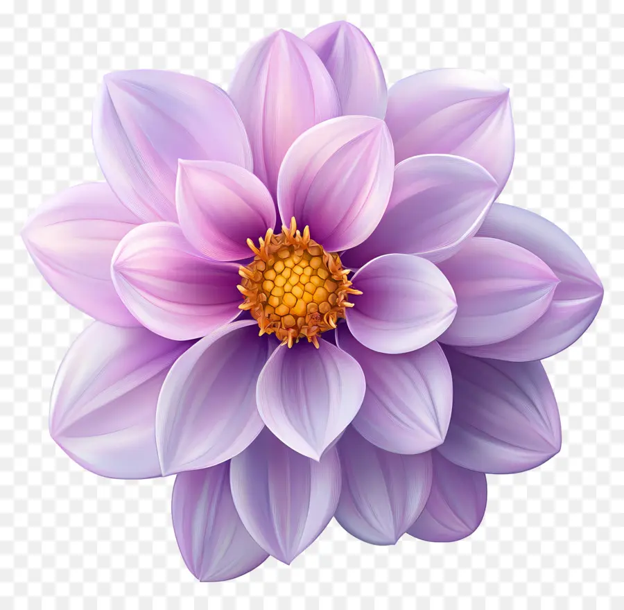 Buen Día，Flor PNG