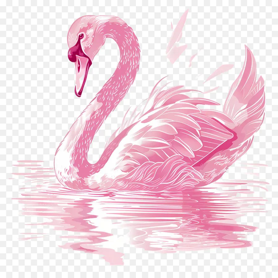 Cisne Rosa，Pájaro PNG