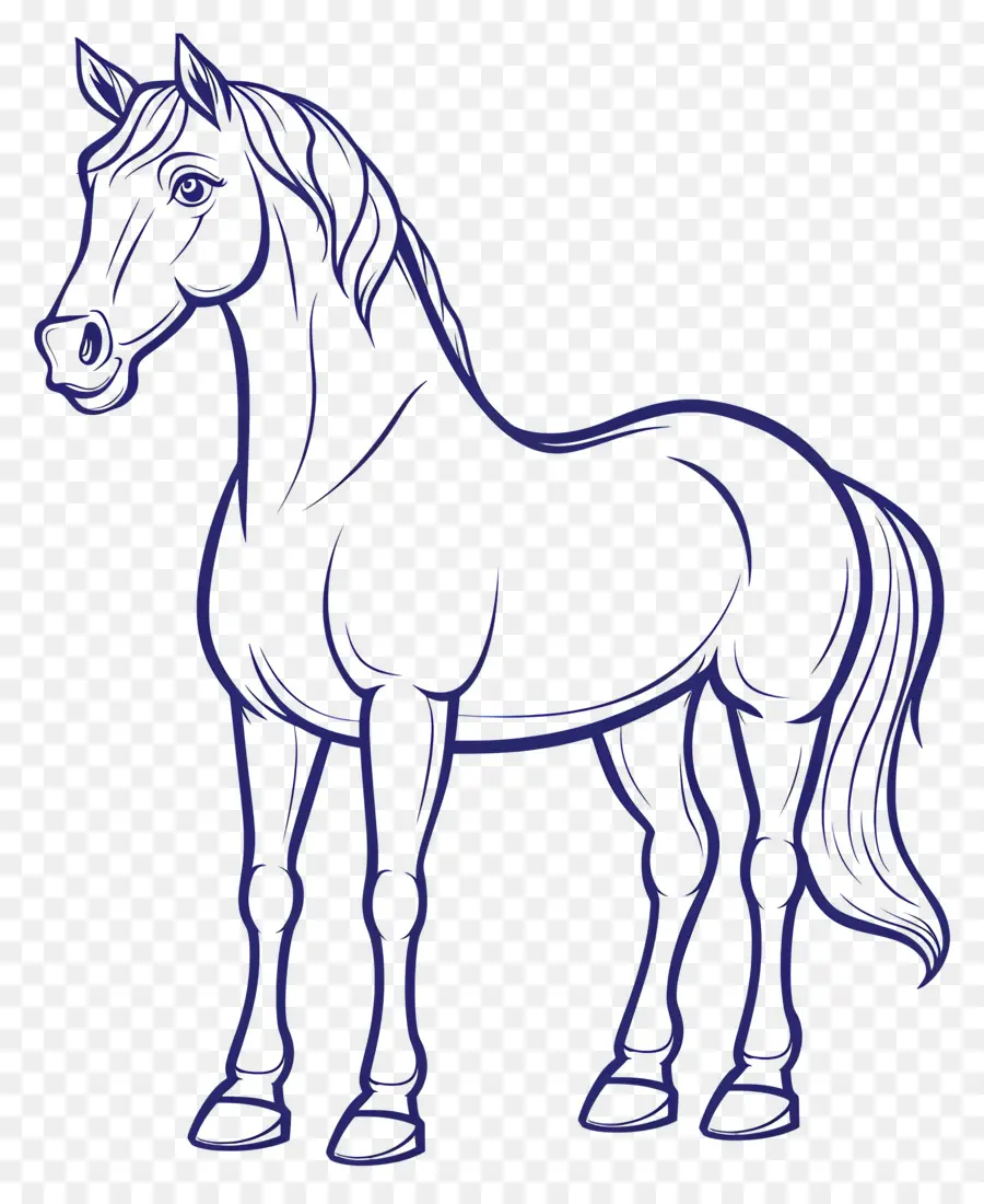 Contorno Del Caballo，Caballo PNG