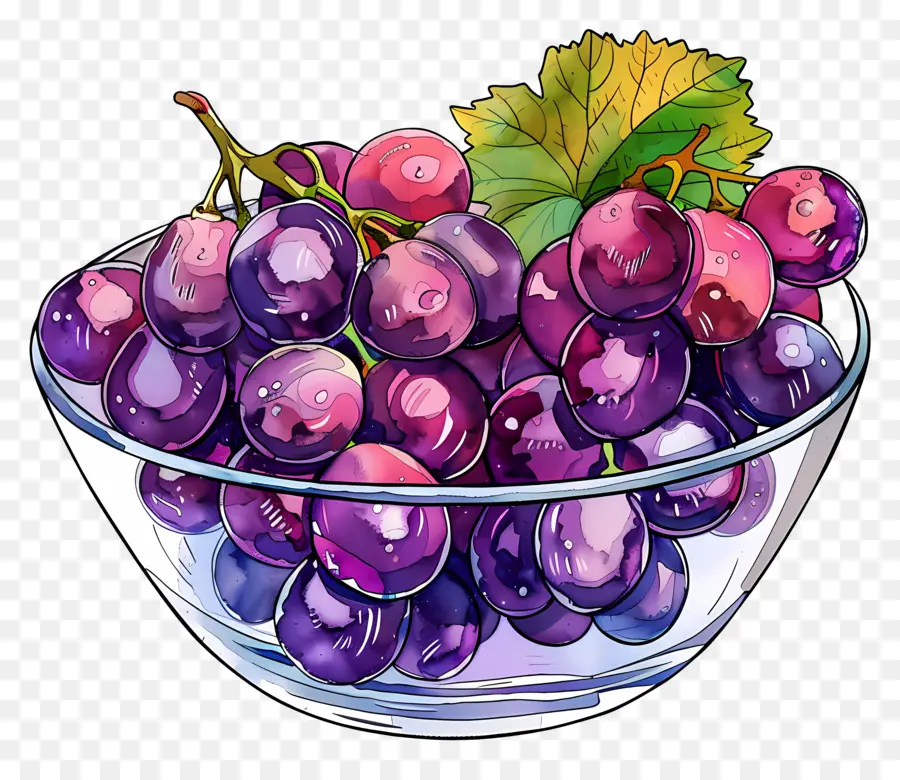 Tazón De Uvas，Uvas PNG