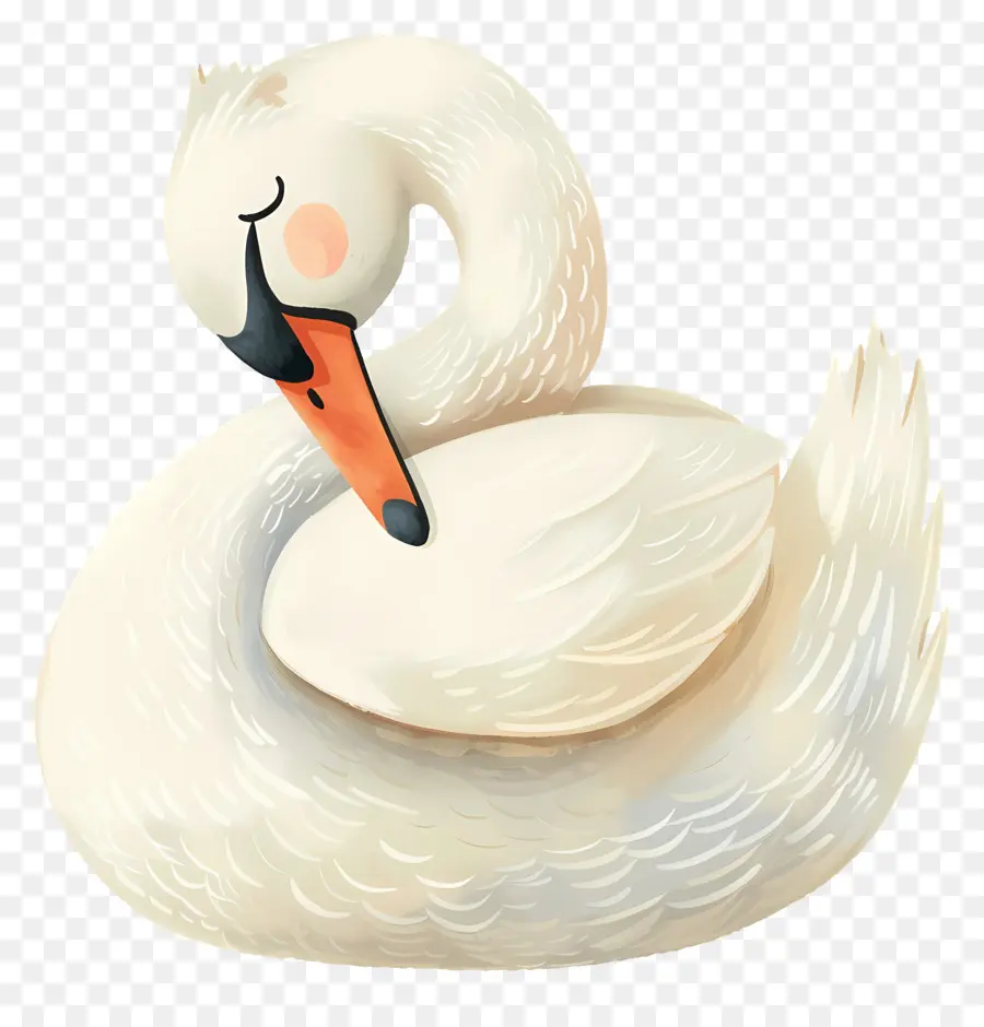 Lindo Cisne，Cisne Blanco PNG