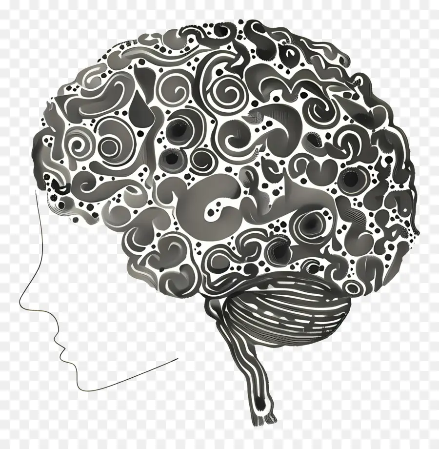 Esquema Del Cerebro，Cerebro PNG