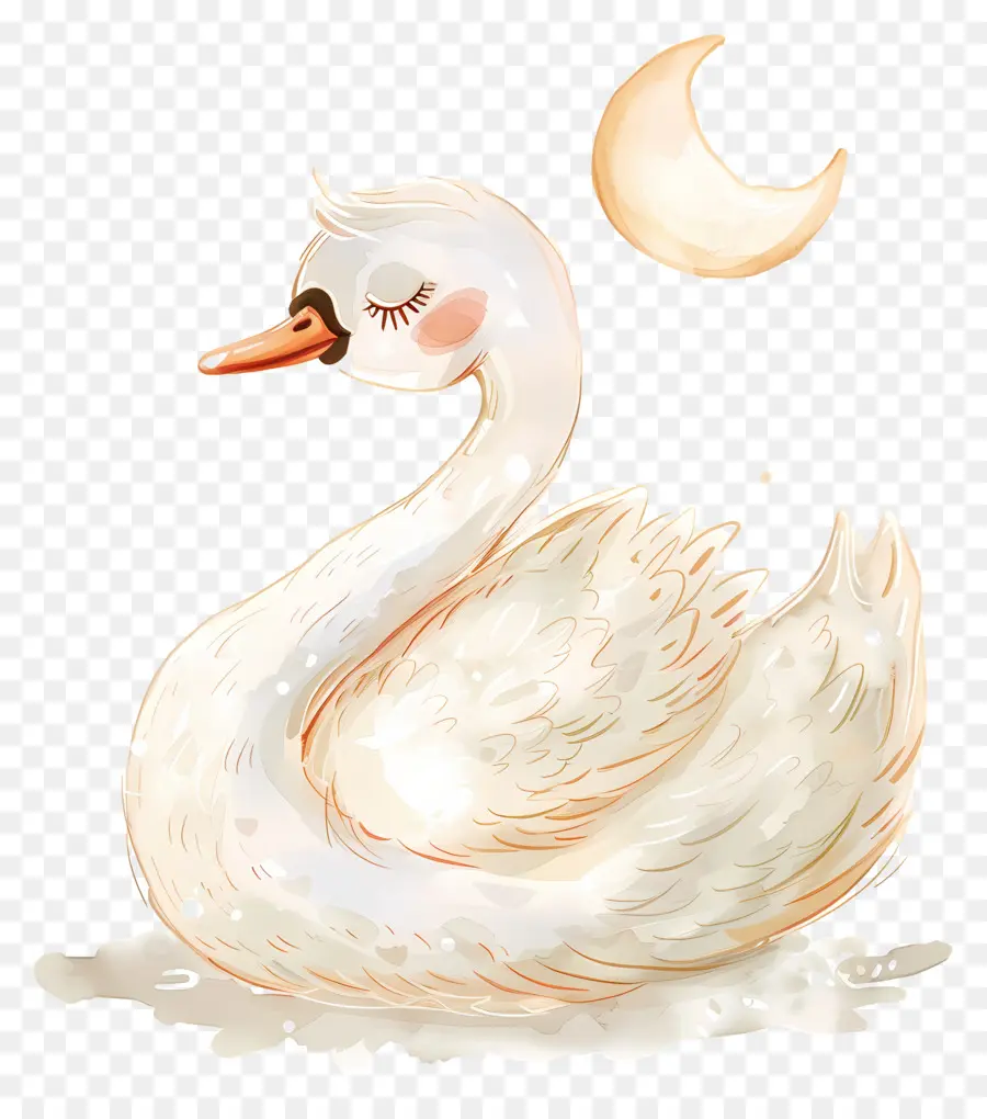 Lindo Cisne，Cisne PNG