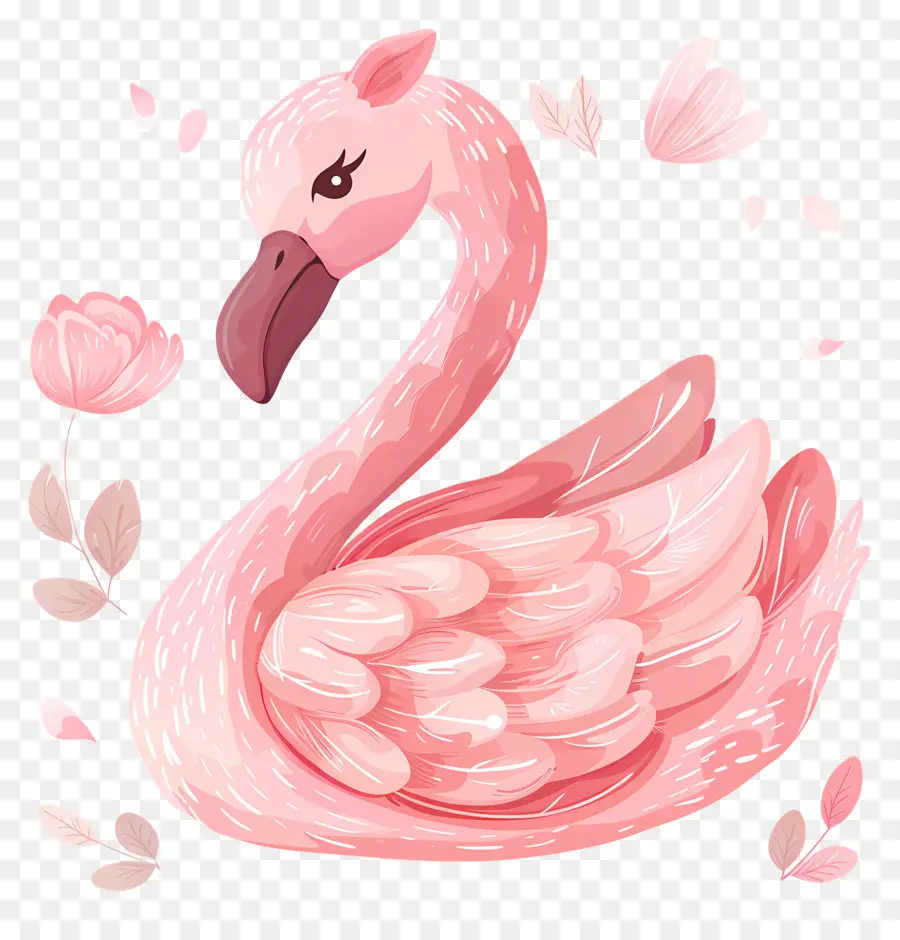 Cisne Rosa，Flamenco Rosado PNG