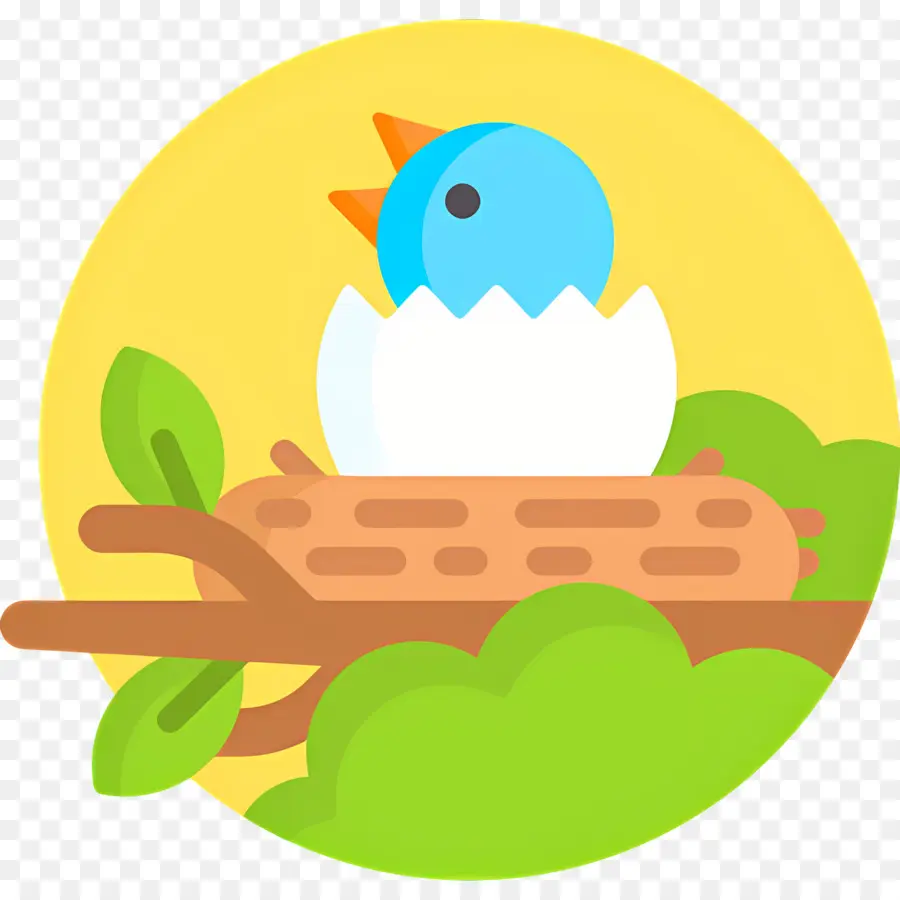 Nido，Pájaro En Nido PNG