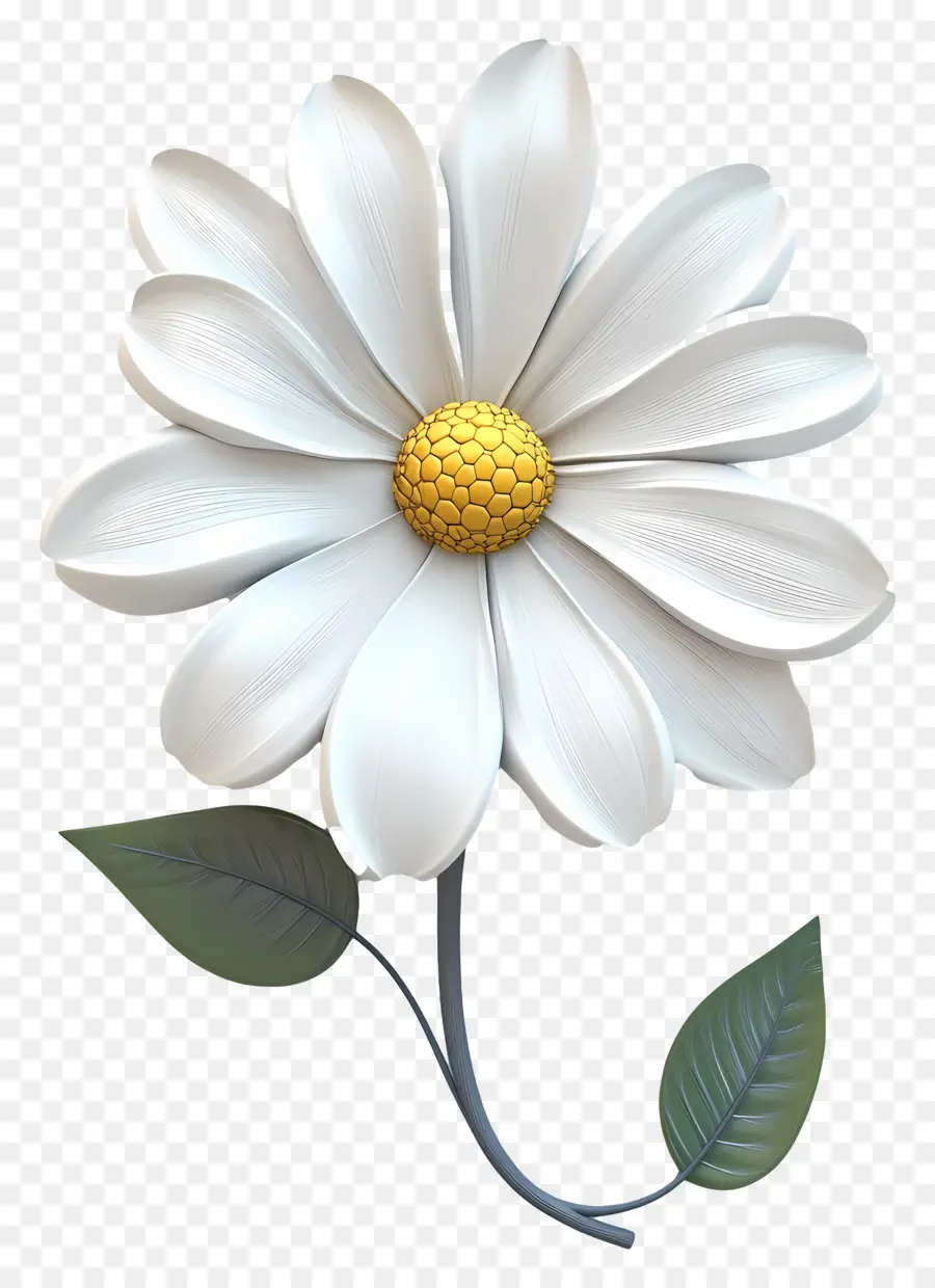 Buen Día，Flor Blanca PNG