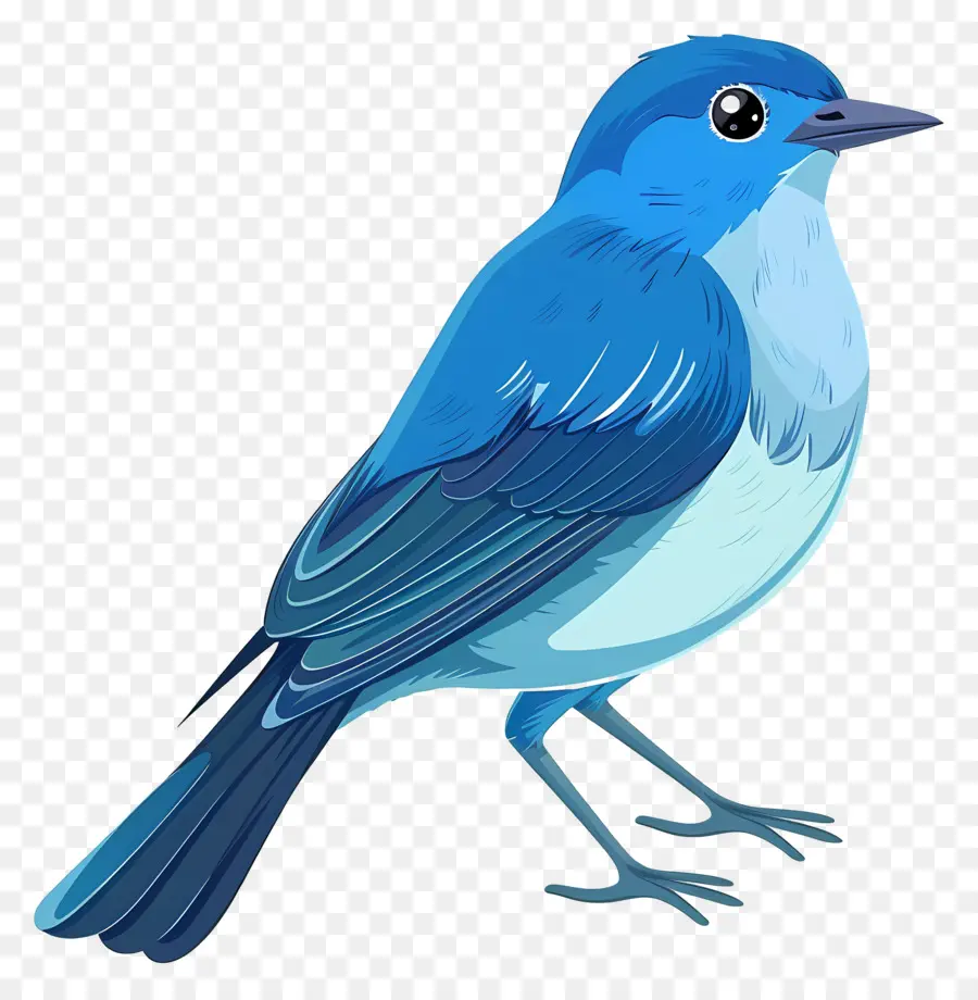 Pájaro Azul，Pájaro Colorido PNG